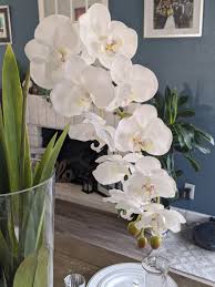 We did not find results for: Beautiful Inexpensive Fuchsia Or Lavender Tiger Lily Stems