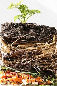 Jardin La Culture En Lasagnes A Tout Bon Famille Notre Temps Culture En Lasagne Jardins Jardin Potager