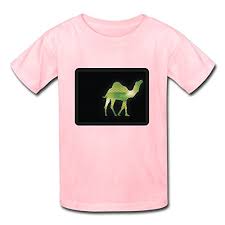 (begin) in april 2008 when ed. Custome Kids Camel Walk Phish T Shirts In The Size Of Small Buy Online In Sint Maarten At Sintmaarten Desertcart Com Productid 50319040