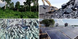 Bidang usaha pertanian (agriculture), meliputi usaha pertaniaan, kehutanan, perikanan, dan perkebunan b. Potensi Dan Upaya Indonesia Menjadi Negara Maju Halaman All Kompas Com