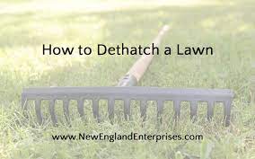 Rent a dethatching machine or power rake work it over your lawn in a crosshatch pattern by going back and forth in one direction (north to south) then back and forth perpendicular to that pattern (east to west). How To Dethatch A Lawn New England Enterprises Ma