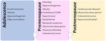 When you first hear that you have cancer, you may feel alone and afraid. Polycystic Ovary Syndrome And Aging Health Implications After Menopause Maturitas