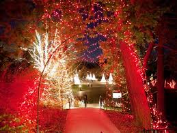 Christmas Display Longwood Gardens Christmas Longwood Gardens Outdoor Christmas Lights