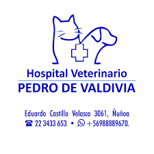 Hospital Veterinario Pedro De Valdivia