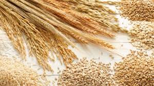 Why Whole Grains Are Good For You? 7 ...