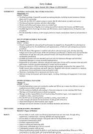 store general manager resume samples
