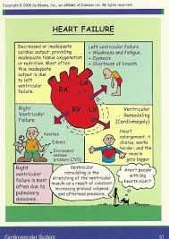 heart failure nursing cardiac nursing med surg nursing