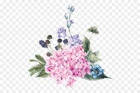 Freie kommerzielle nutzung keine namensnennung top qualität. Blumen Royalty Free Blume Png Herunterladen 800 600 Kostenlos Transparent Anlage Png Herunterladen
