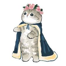 Pin On Cats 3