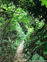 This popular hikers destination and green lung of kuala lumpur has many labyrinthine trails that constantly diverge or are not blatantly obvious. Hiking At Bukit Kiara Taman Tun Dr Ismail Rolling Grace Your Travel Food Guide To Asia The World