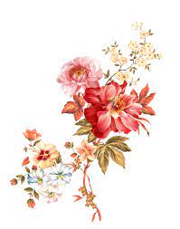 11552507425b2f716b2a4b18 42445717 Shutterstock 739307485 Png 790 1000 Floral Watercolor Flower Art Digital Flowers
