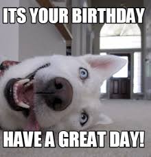 Check spelling or type a new query. Meme Creator Funny Its Your Birthday Have A Great Day Meme Generator At Memecreator Org