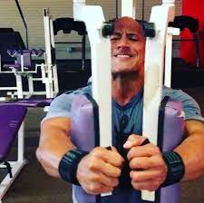 Maybe you would like to learn more about one of these? The Rock Liked The Pec Deck Machine So Much He Bought It Evolution Of Bodybuilding
