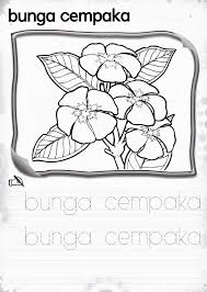 Bunga mawar, bunga aster, bunga matahari, bunga sakura, serta kumpulan template ini bisa digunakan untuk presentasi tugas sekolah dengan topik bunga, bisnis toko bunga (jasa florist), atau toko bunga online. Lembaran Kerja Tema Bunga Prasekolah Inspirasi Dekorasi Rumah