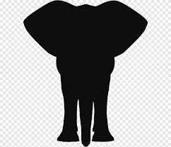 Maybe you would like to learn more about one of these? Indian Elephant African Elephant Silhouette Elephant Motif Mammal Animals Png Pngegg
