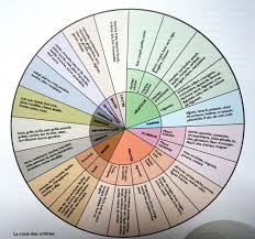 Roue Des Aromes Du The En Francais 720 675