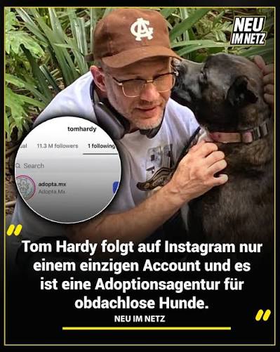 Tom Hardy folgt auf Instagram nur einem einzigen Account: @adopta.mx, einer  mexikanischen Stiftung, die sich der Rettung und Vermittlung ausgesetzter  Hunde in Mexiko-Stadt widmet. Der langjährige Tierliebhaber hat die  Organisation persönlich getroffen