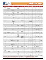 fillable online burn rate chartburn rate chart accurate