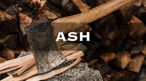 These both burn slowly and produce a good source of heat. Is Ash Good For Firewood Down To Earth Homesteaders