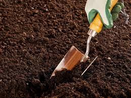 We did not find results for: Can You Mix Potting Soil With Garden Soil Hgtv