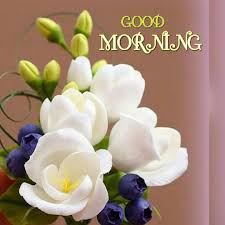 good morning photo के लिए इमेज परिणाम