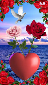 Red rose roses love heart hearts flowers valentines day floral. Pin By Felicetta On Hearts Of Love Is Rose Flower Pictures Pink Flowers Wallpaper Beautiful Flowers Wallpapers