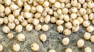 We did not find results for: Farina Di Sorgo Proprieta Del Grano Sorgo E Della Farina