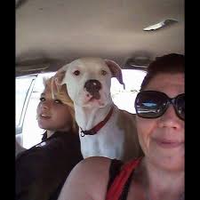 Lost Dog Boss in Texoma Area