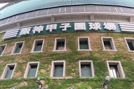 ãç¬¬100åå¨å½é«æ ¡éçé¸ææ¨©å¤§ä¼ãã®ç»åæ¤ç´¢çµæ