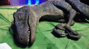 The dinosaur model of the installation. Animatronic Dinosaur In Real Life My Dinosaurs