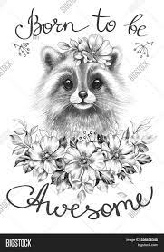 See more ideas about pencil drawings, drawings, animal drawings. Hand Drawn Raccoon Image Photo Free Trial Bigstock