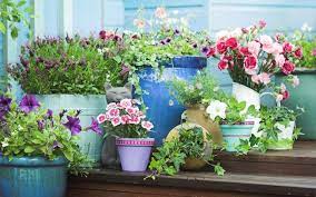 Container low maintenance patio plants. How To Create A Luscious Low Maintenance Container Garden