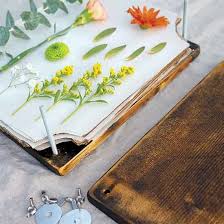 With flowers beginning to bloom all around. Build A Simple Wooden Flower Press To Preserve The Color And Integrity Of Your Favorite Plants Pressed Flowers Diy Pressed Flowers Pressed Flower Crafts