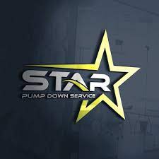 Explore star logo stock photos. Design A High End Star Logo For Star Pump Down Logo Design Contest 99designs