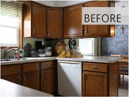 15 Ways To Redo Your Kitchen Cabinets Without Breaking The Bank White Kitchen Renovation Diy Kitchen Cabinets Makeover Kitchen Renovation
