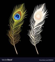 Isolated Peacock Feathers Vector Image On Vectorstock In 2020 Peacock Feather Art Feather Vector Peacock Feather Drawing