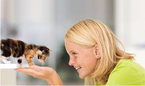 בית חולים וטרינרי פתח תקווה, בית חולים לחיות בפתח תקווה, ד"ר אבי צרפתי