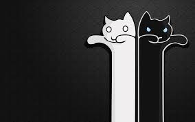 Cat meme quote funny humor grumpy kitten sad love mood wallpaper. Cat Meme Wallpapers Top Free Cat Meme Backgrounds Wallpaperaccess