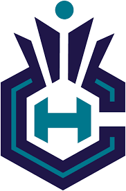 It would only protect your exact logo design. Pin On Charlotte Hornets All Jerseys And Logos