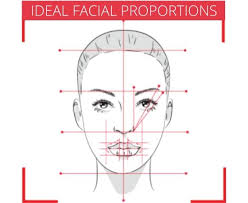 There is no wrong order in doing this, it is just how. Face Shapes And Ideal Proportions Makeup Fundamentals Manicare