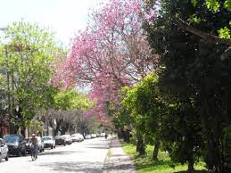 It lies just south of the capital city buenos aires, in the great. Calle Velez Sarsfield Primavera En Lanus Buenos Aires Argentina Buenos Aires Argentina Argentina Buenos Aires