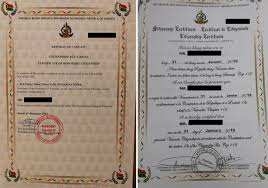 What is a certificate of naturalization. Vanuatu Removes Honorary Designation From Investors Citizenships Investment Migration Insider