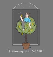 Sep 09, 2019 · in this article. Partridge In A Pear Tree Wallpaper Shefalitayal