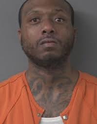 ARREST**** MICHAEL ANTOINE LYONS was arrested in WILSON COUNTY and charged  with FLEE AND ELUDE ARREST Awaiting bond