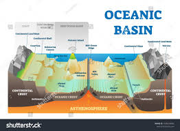 Ocean Basin Structure Vector Illustration Labeled Geography Educational Underwater Level Scheme Wi Plate Tectonics Tectonic Plate Boundaries Tectonic Movement