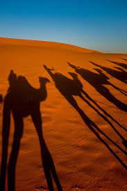 The film is based upon the novel the shadow of the east by edith maude hull. Sahara Shadows Photo By Teran Jones National Geographic Your Shot Shadow Photos Desert Travel National Geographic