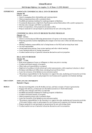 Real Estate Broker Resume Samples Velvet Jobs