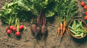 Um kartoffeln anzubauen, muss nicht unbedingt ein gartenbeet zur verfügung stehen. Top 10 Gemusesorten Die Schatten Lieben Haus Garten Profi