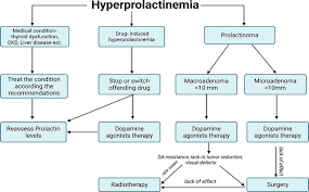Image result for Hyperprolactinemia