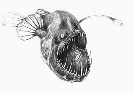 5 Awesome Angler Fish Drawing Cute Images